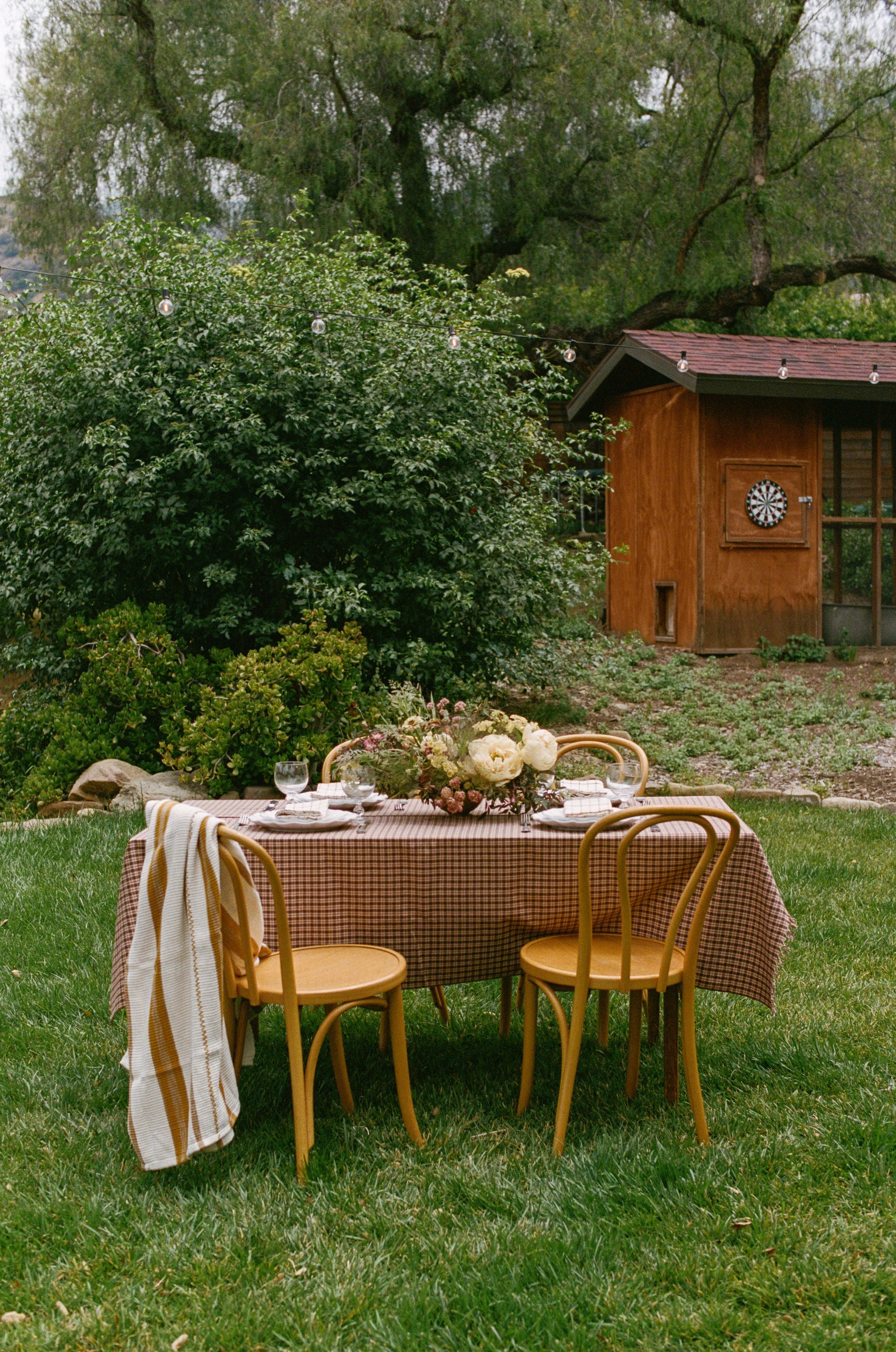 HUDSON PLAID - Sienna Napkins