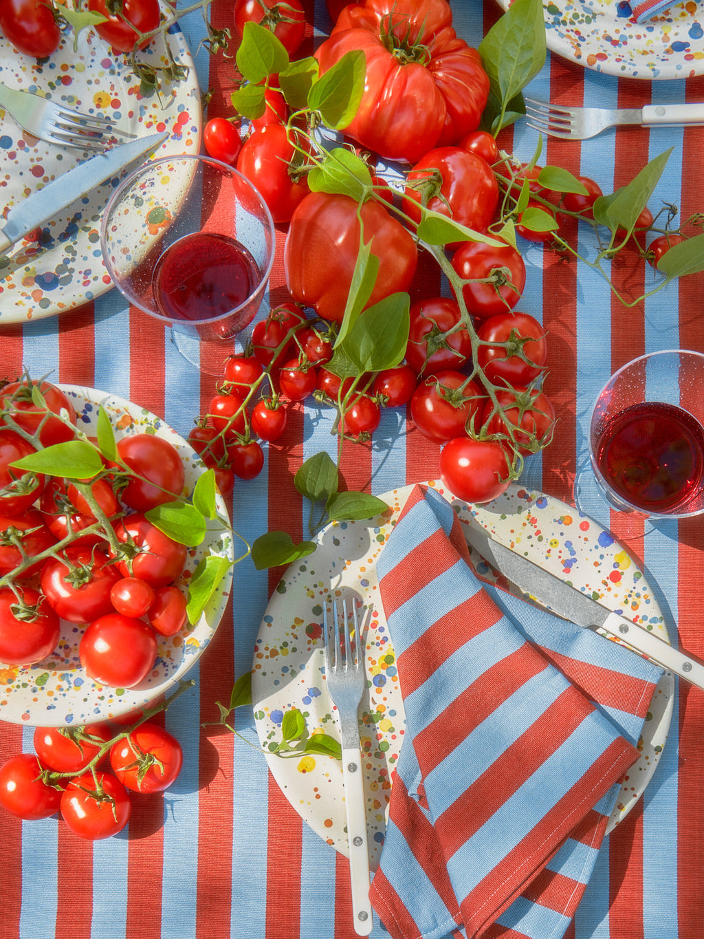 HTH x Domino MEDIUM STRIPE -  Tomato & Blue Napkins