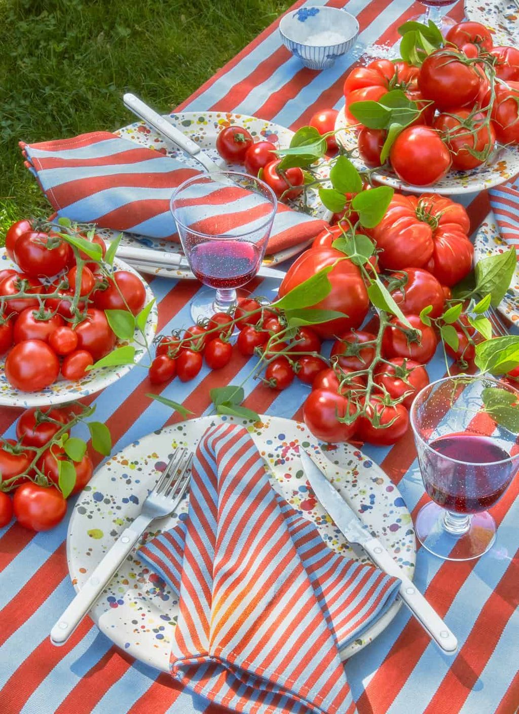 HTH x Domino WIDE STRIPE - Tomato & Blue Tablecloth