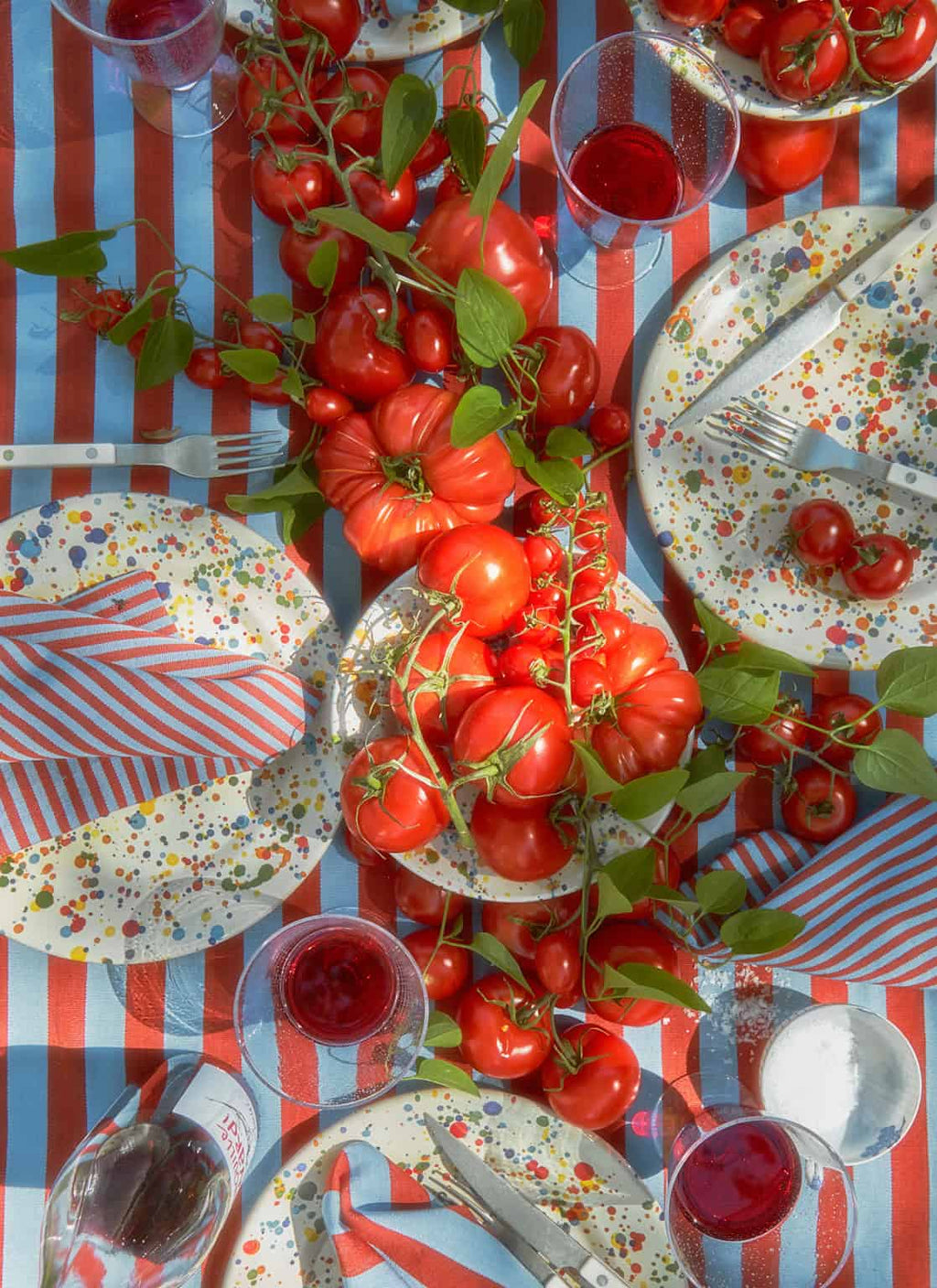 HTH x Domino WIDE STRIPE - Tomato & Blue Tablecloth